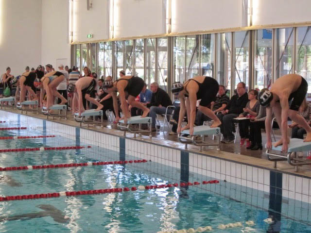 image of all swimmers on diving blocks