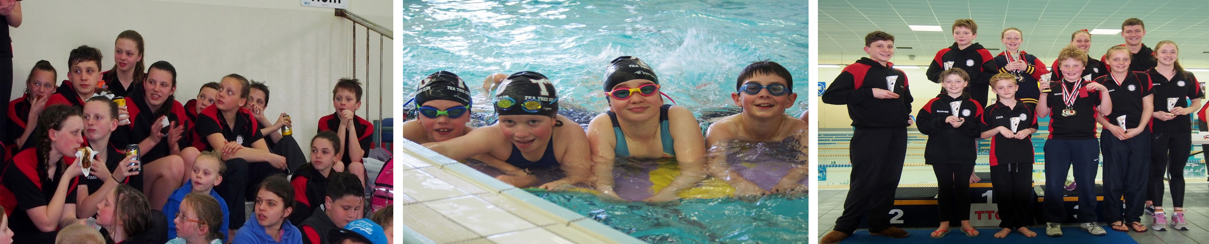 image of all swimmers