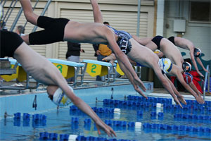 swimmers diving off the blocks